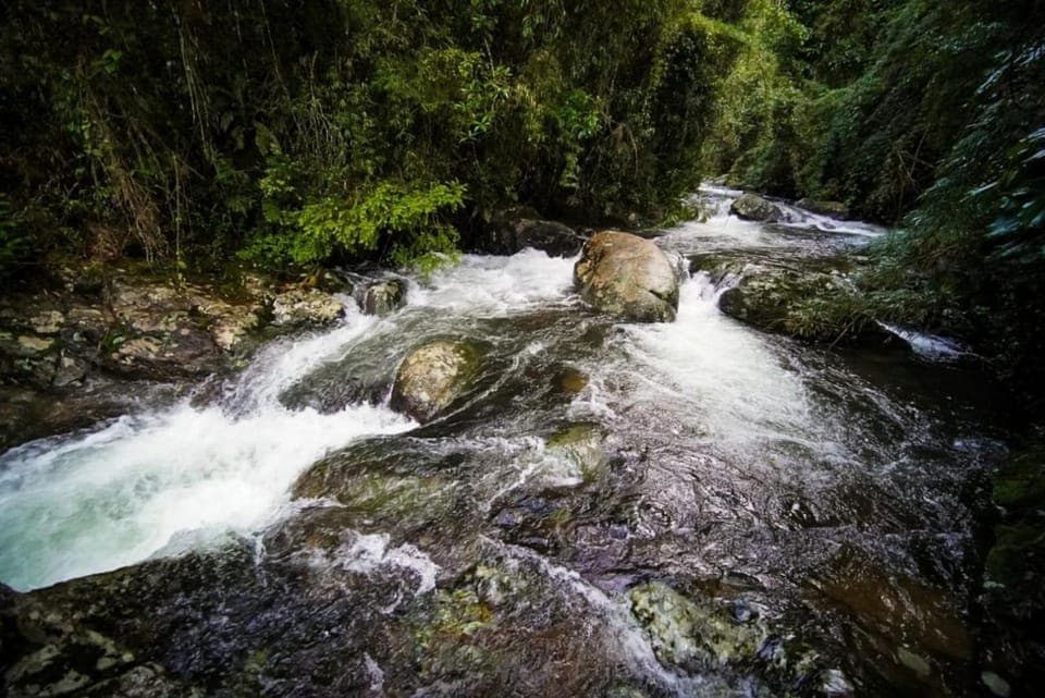 Natural landscape, Mountain view, River view
