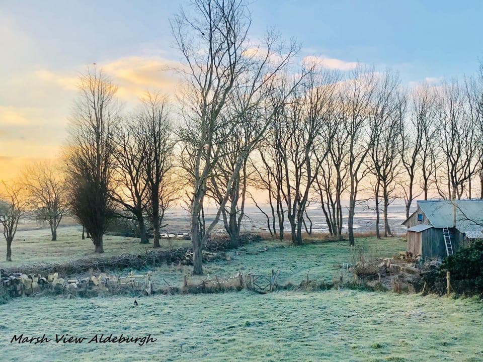 Natural landscape, Winter