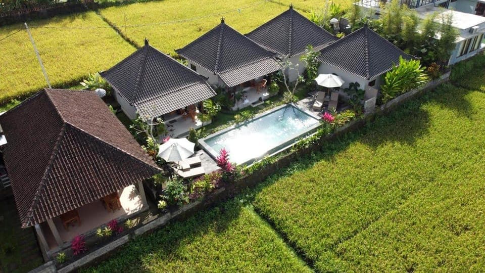 Garden, View (from property/room), Garden view, Pool view, Swimming pool
