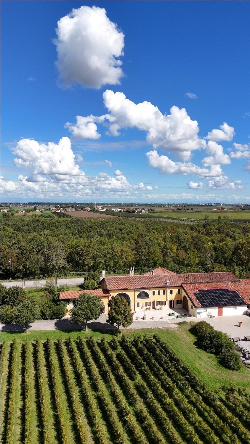 Property building, Day, Natural landscape, Bird's eye view, Garden, Garden view