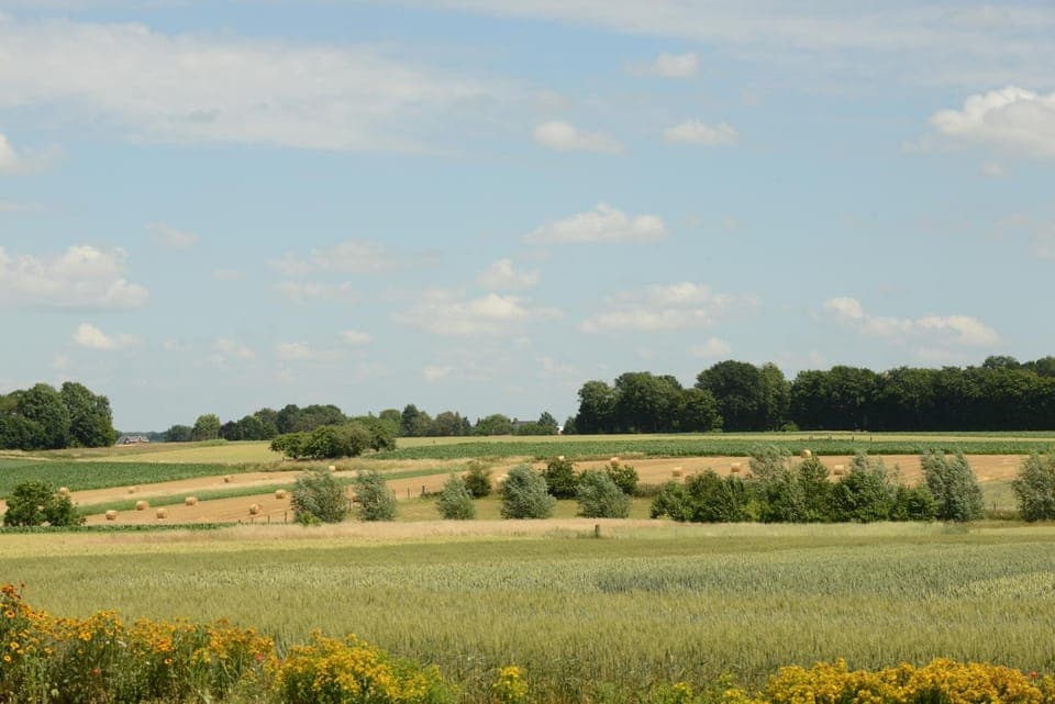 Natural landscape, View (from property/room)