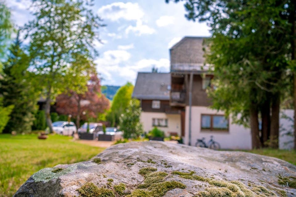 Property building, Spring, Day, Neighbourhood, Natural landscape, Garden, Garden view, Street view, Parking