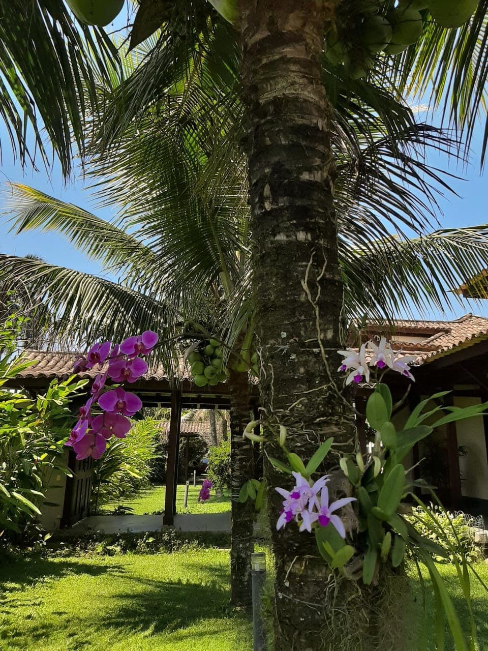 Casa Pomar do Aconchego Apartment in Paraty