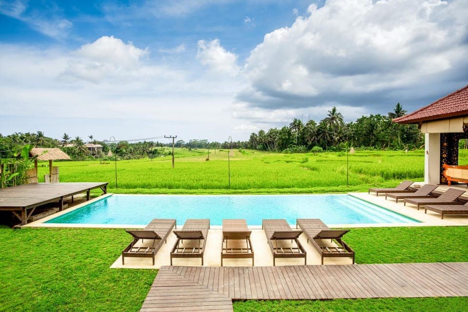 Garden, Pool view, Swimming pool