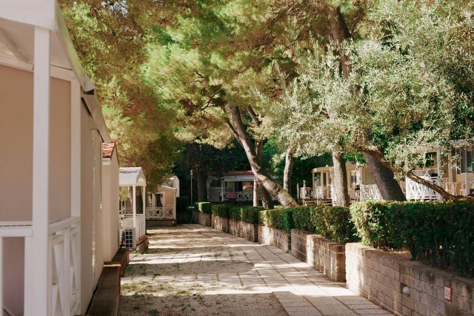 Natural landscape, Garden, Garden view