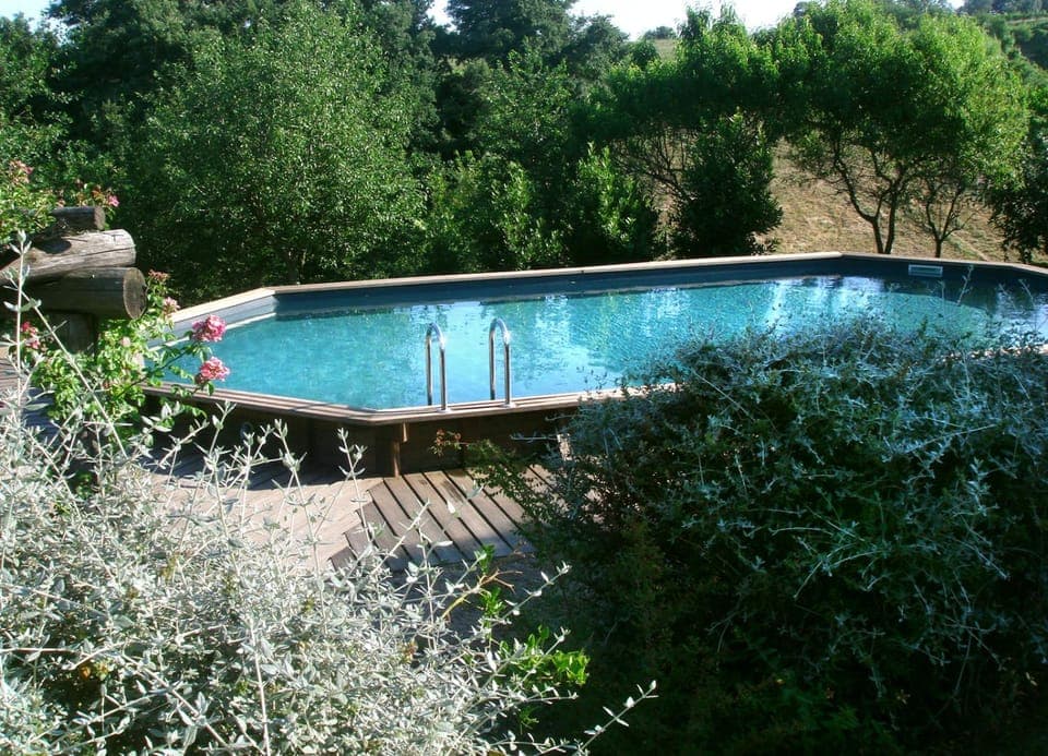 Garden, Pool view, Swimming pool