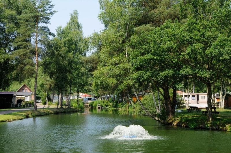 Spring, Day, People, Activities, Summer, Fishing, Fishing, Animals, On site, Guests, Lake view, Street view, Sports, Entertainment, Entertainment, children, young children, older children, group of guests, Family