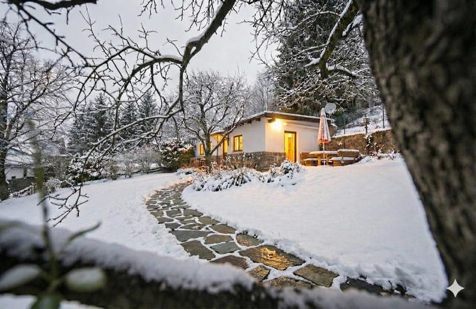 Property building, Winter