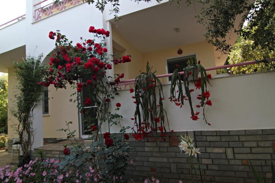 Property building, Patio, Facade/entrance