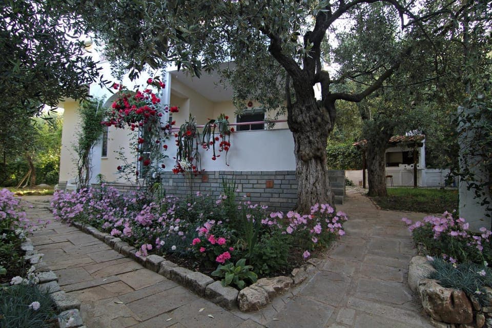 Property building, Patio, Facade/entrance, Garden