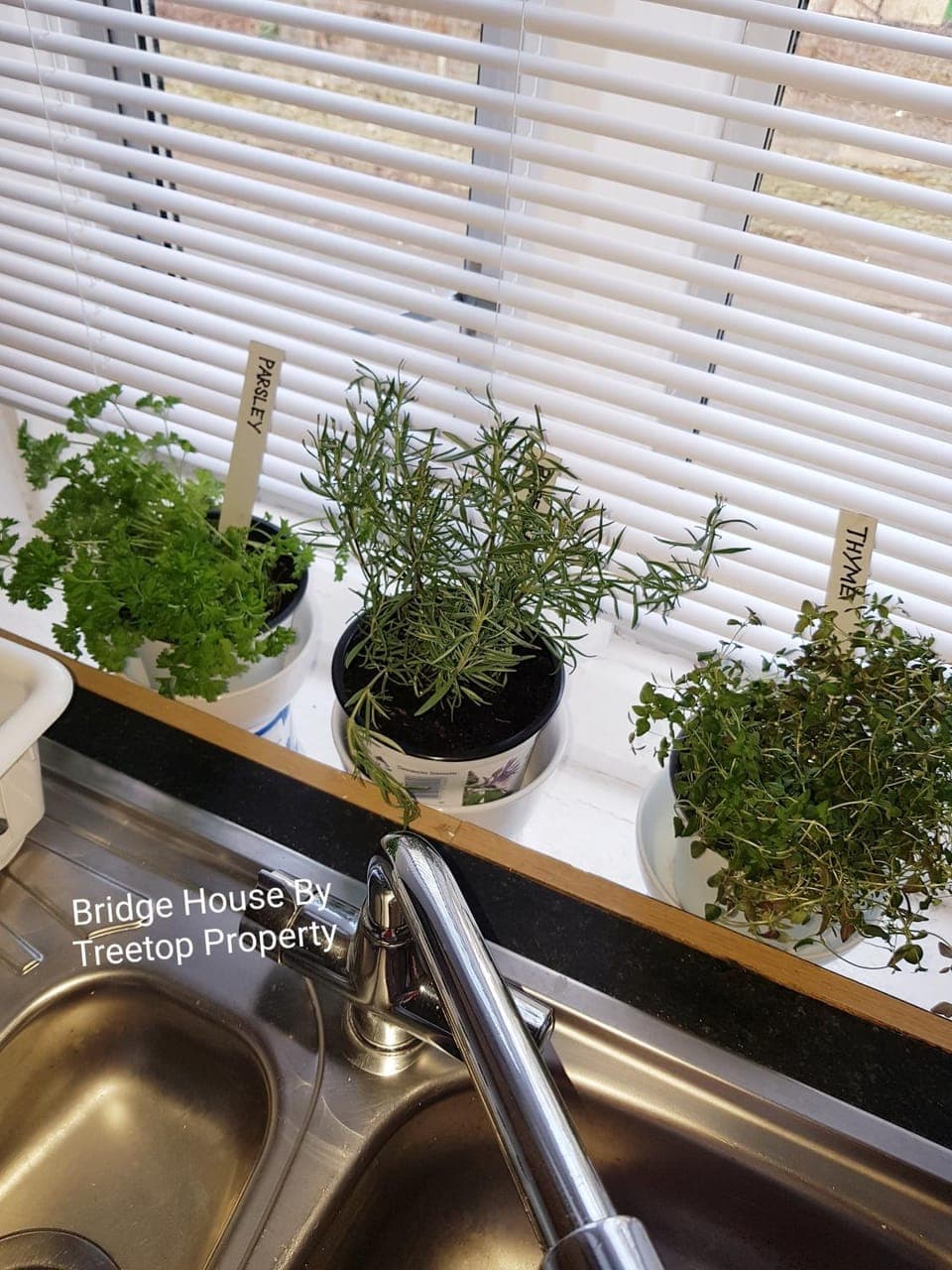 Kitchen or kitchenette, Food and drinks, Decorative detail