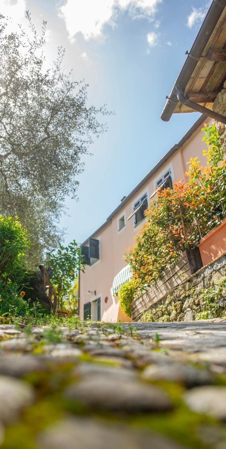 Property building, Spring, Day