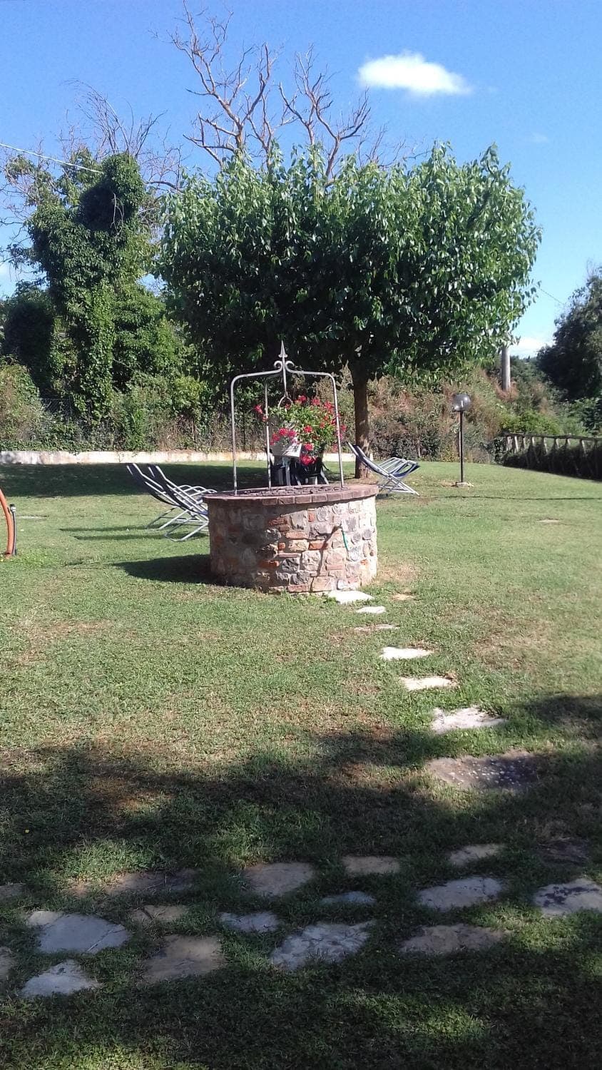 Natural landscape, Garden, Garden view