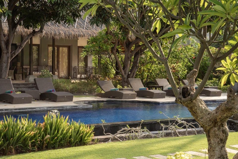 Property building, Patio, Day, Garden, Garden view, Pool view, Swimming pool, sunbed