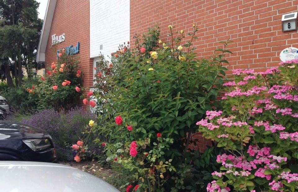 Property building, Facade/entrance