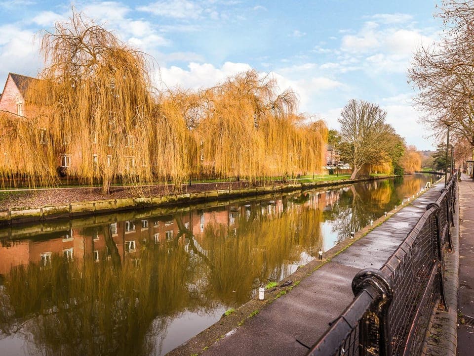 View (from property/room)