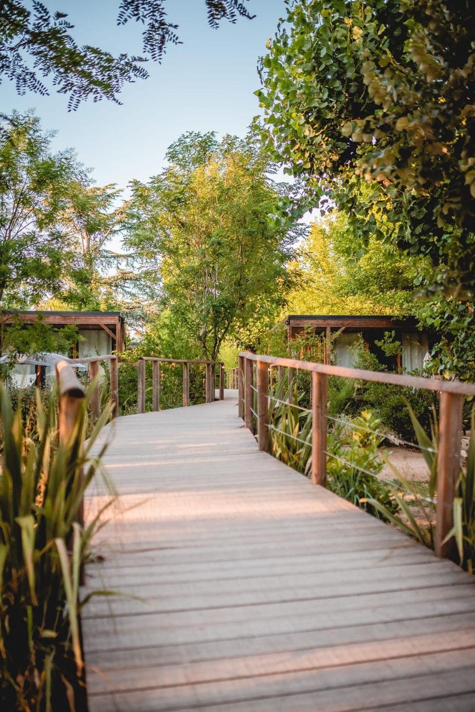 Garden, View (from property/room), Garden view