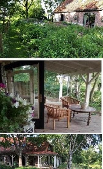 Property building, Patio, Day, View (from property/room), Living room, Garden view