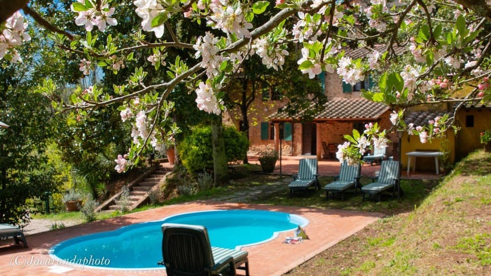 Property building, Garden, Swimming pool