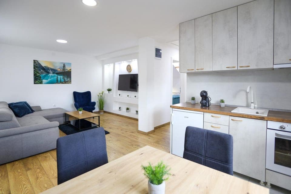 TV and multimedia, Kitchen or kitchenette, Living room, Seating area, Dining area, minibar, oven, pet friendly, stove