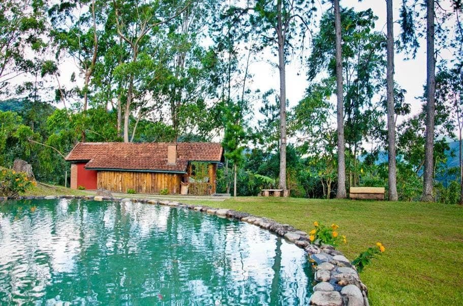 Day, Natural landscape, Garden