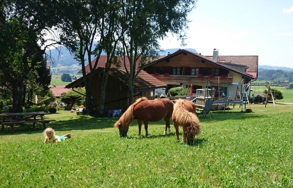 Property building, Animals