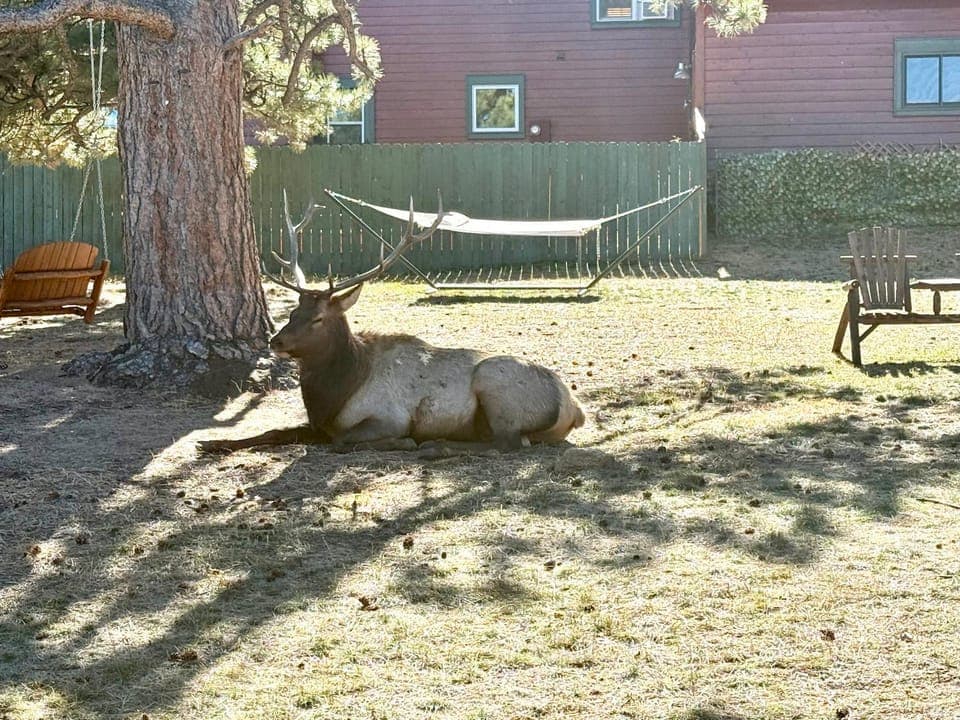 Mountain Shadows Resort Campground/ 
RV Resort in Estes Park