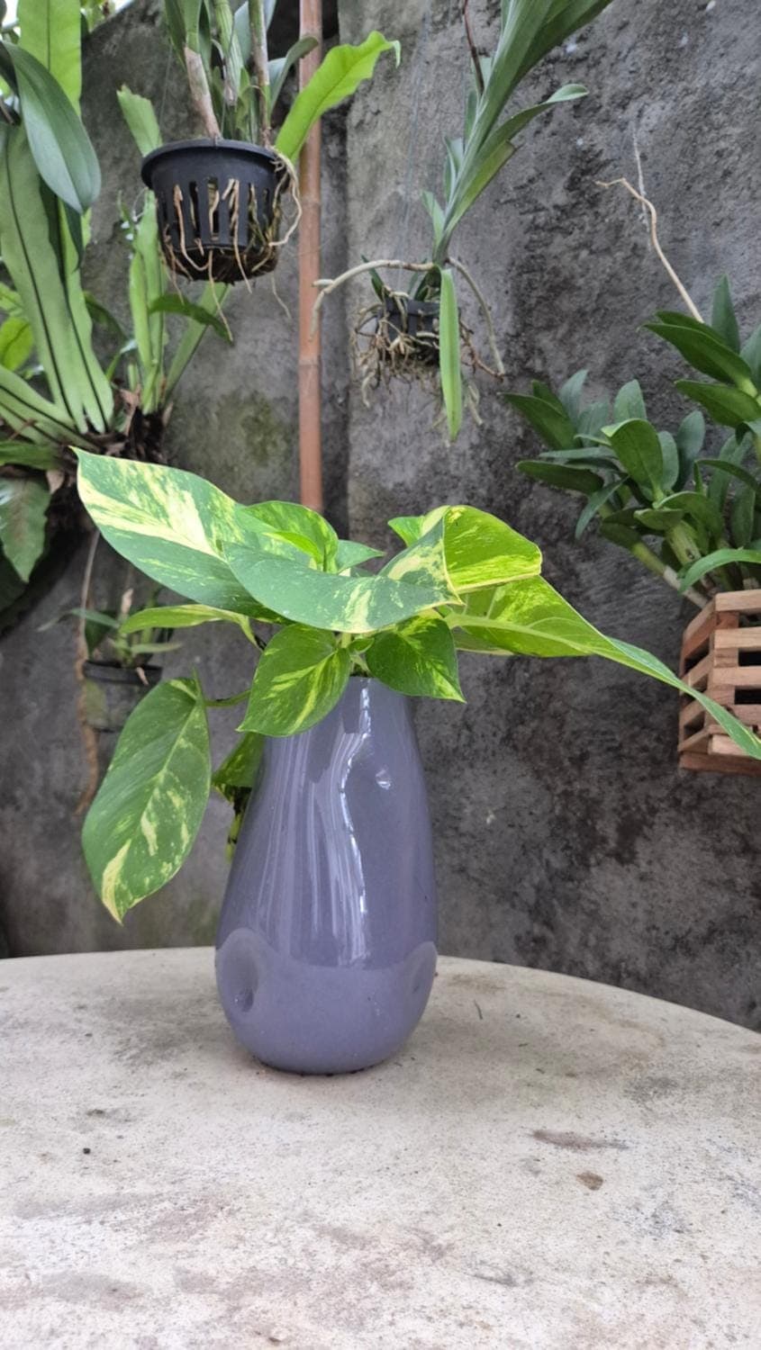 Day, Garden, Seating area, Garden view, Area and facilities