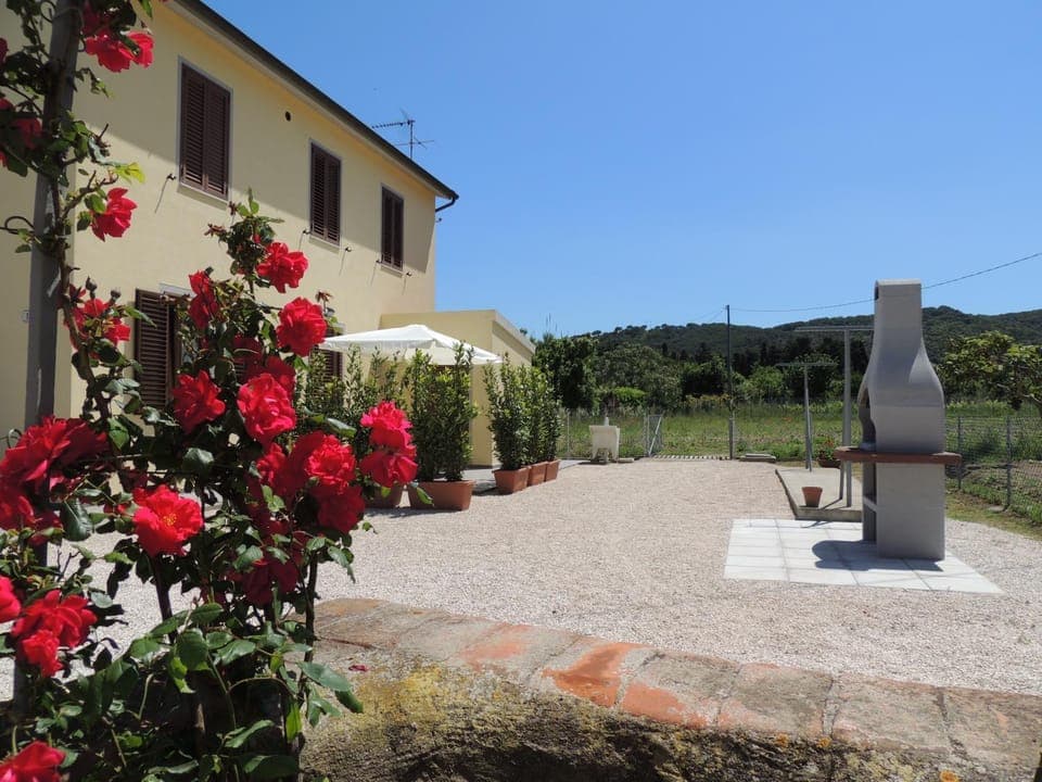 Patio, BBQ facilities, Garden, Garden view