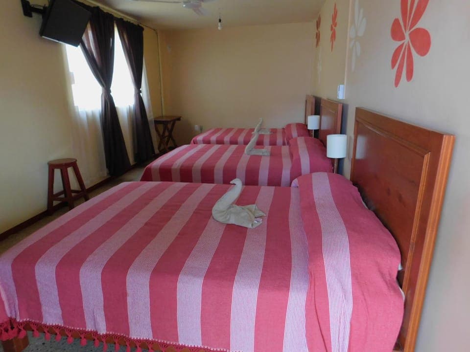 Photo of the whole room, Family