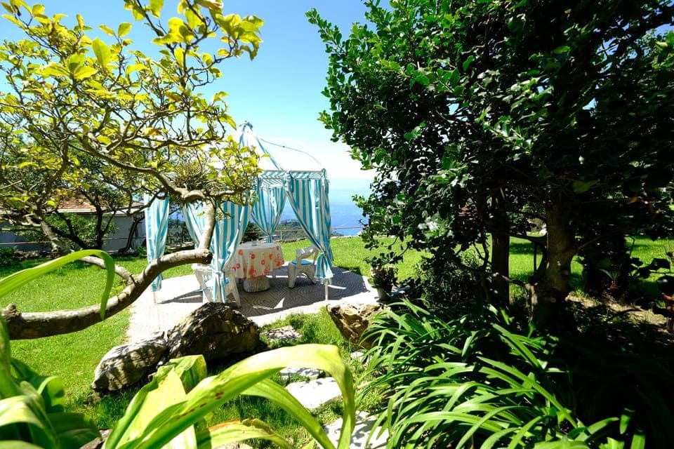 Spring, Day, Garden, Garden view