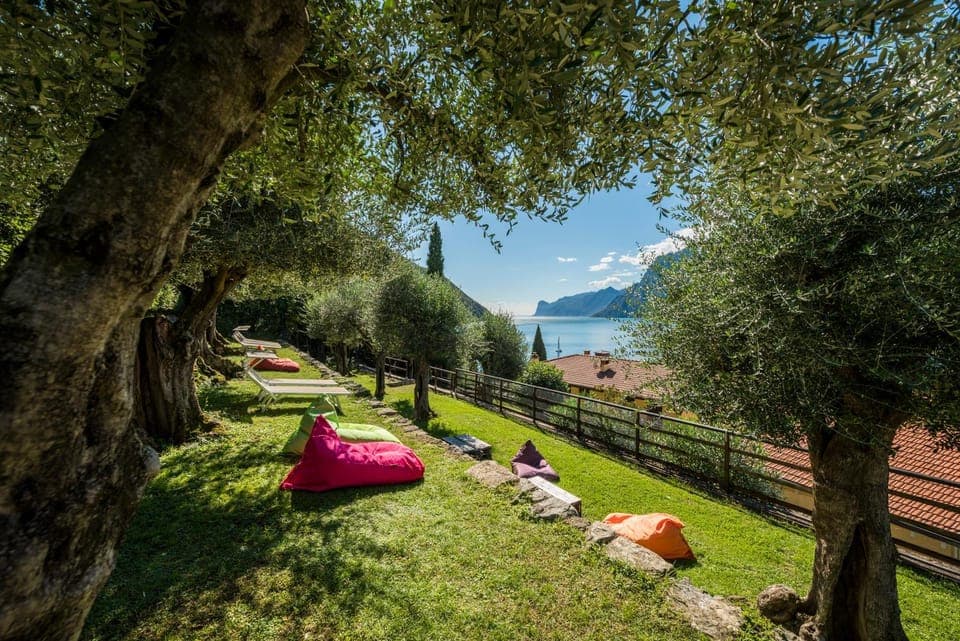 Day, Natural landscape, Summer, Garden