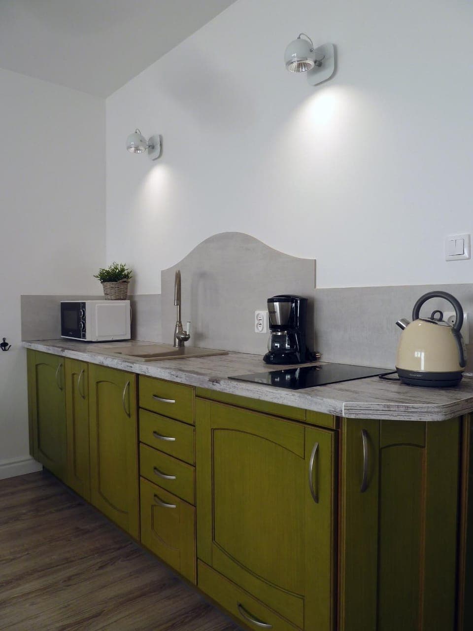 Coffee/tea facilities, Kitchen or kitchenette, minibar, pet friendly, stove, toaster