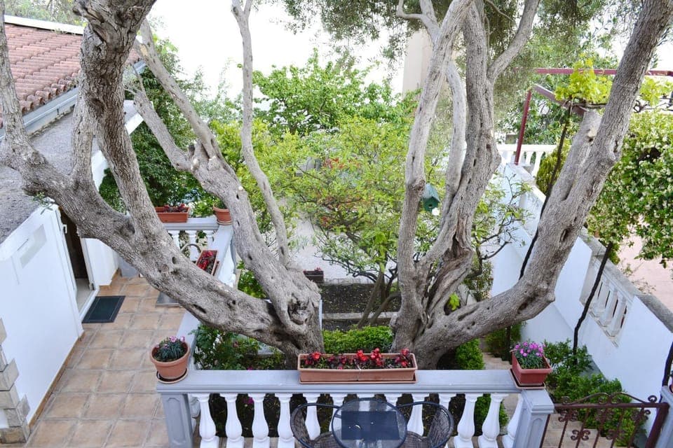 Spring, Day, Garden, Other, Decorative detail, On site, Time of day