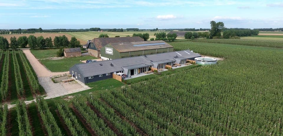 Bird's eye view, Garden view