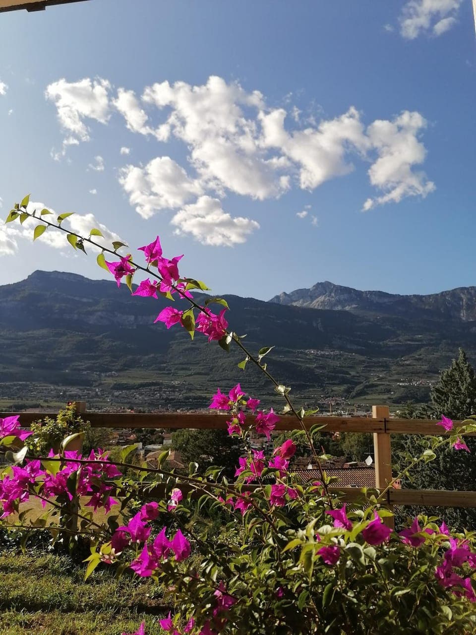 Day, Natural landscape, Mountain view