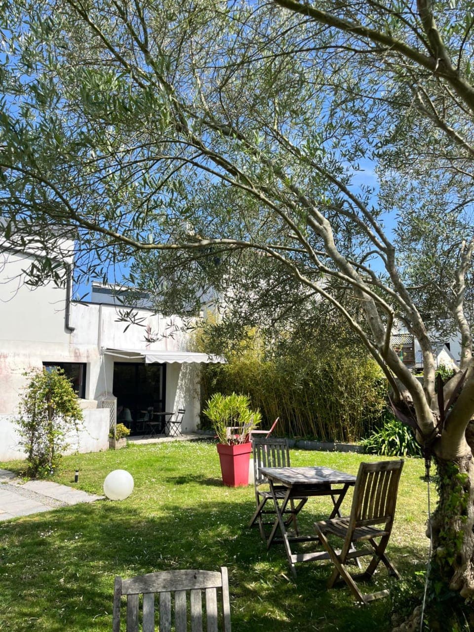Garden, Garden view, sunbed