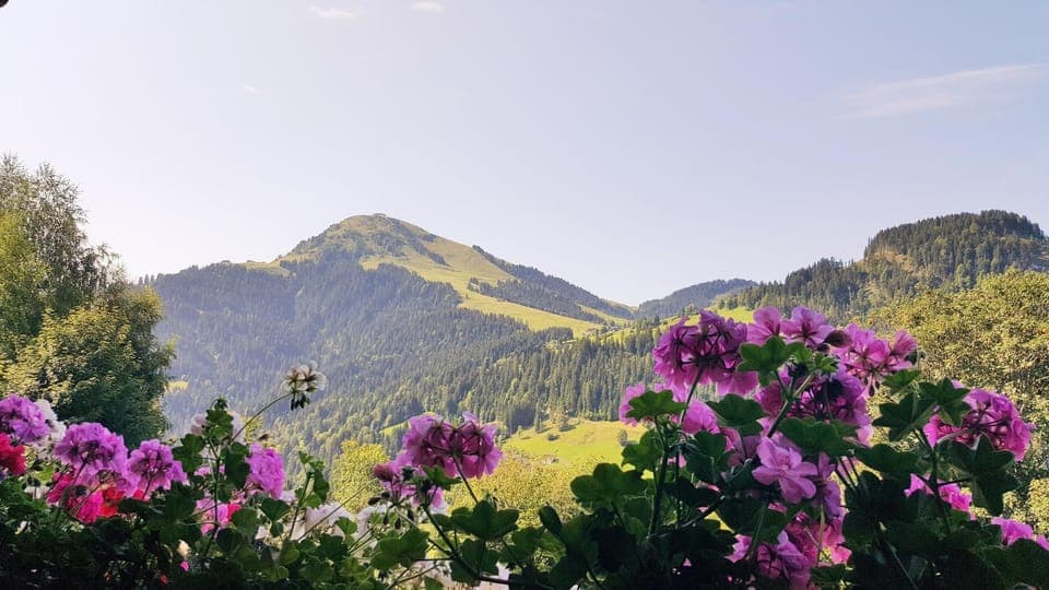 Balcony/Terrace, Balcony/Terrace, Mountain view