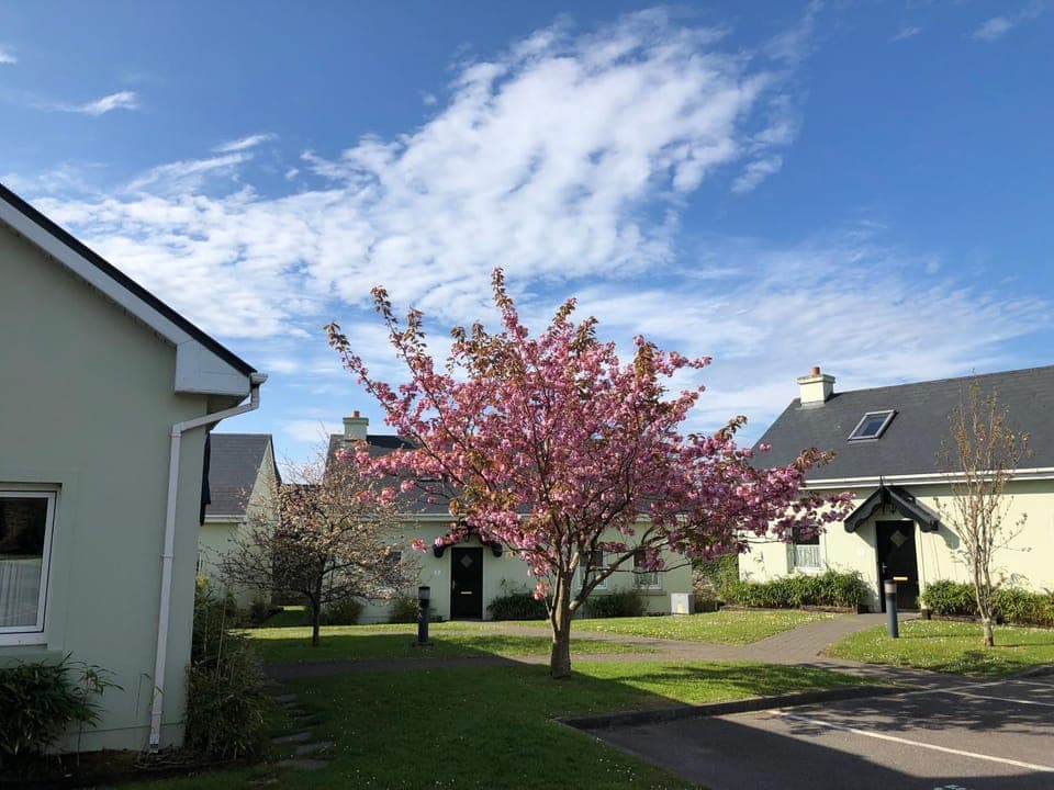 Property building, Garden