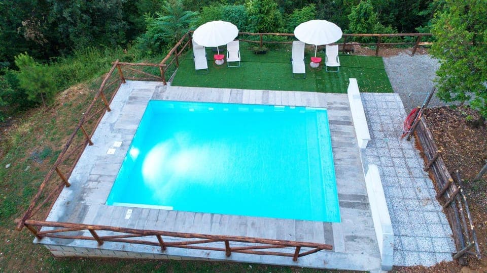 Day, Natural landscape, Garden, Garden view, Pool view, Swimming pool, Swimming pool, sunbed