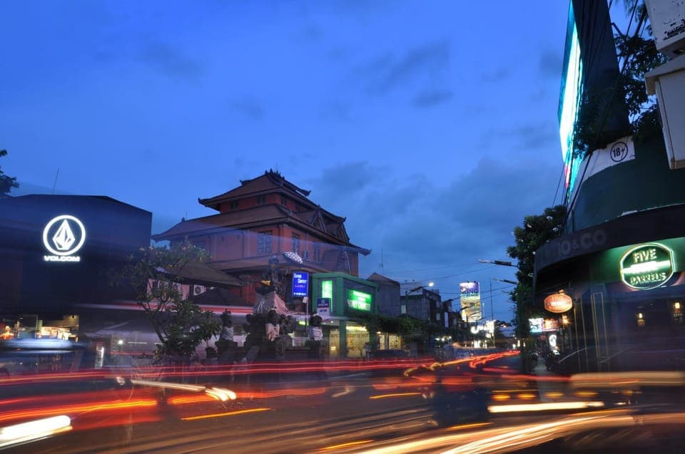 Night, Animals, On site