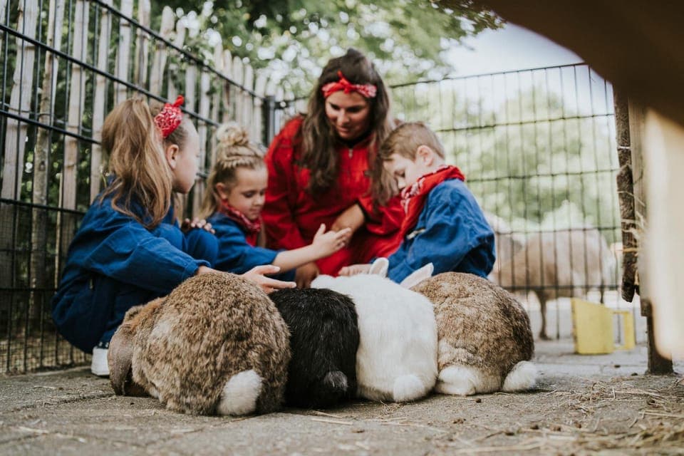 People, Kids's club, Animals, children, Family