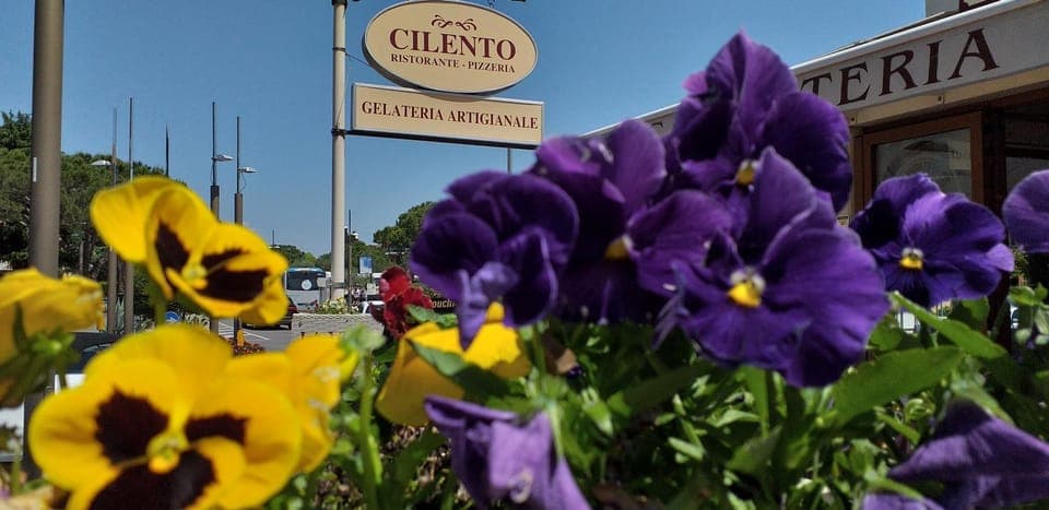 Restaurant/places to eat, Facade/entrance, Other, Street view