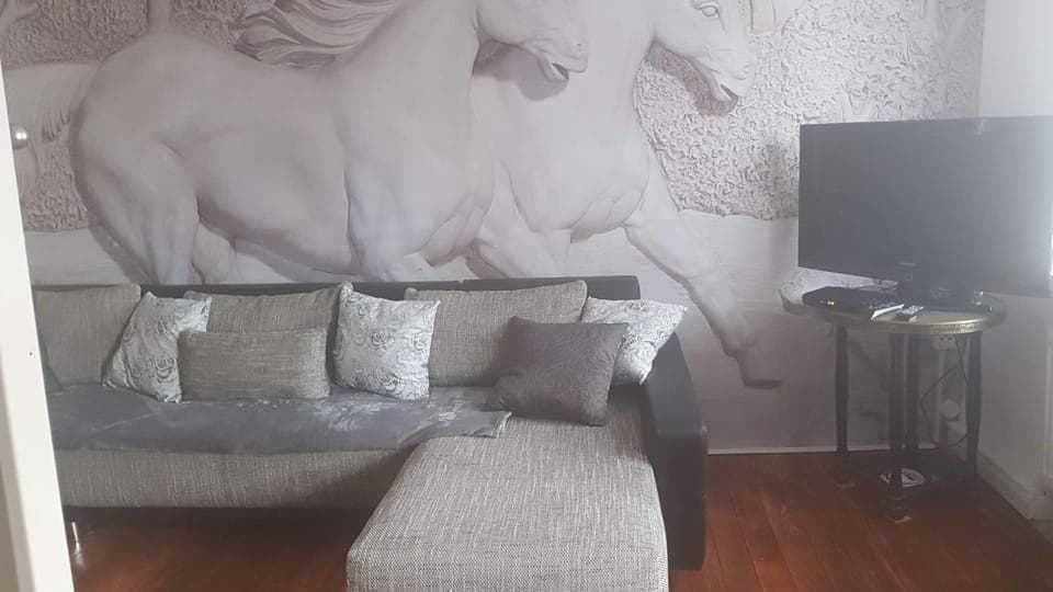 Living room, Photo of the whole room, Decorative detail, Seating area, Bedroom