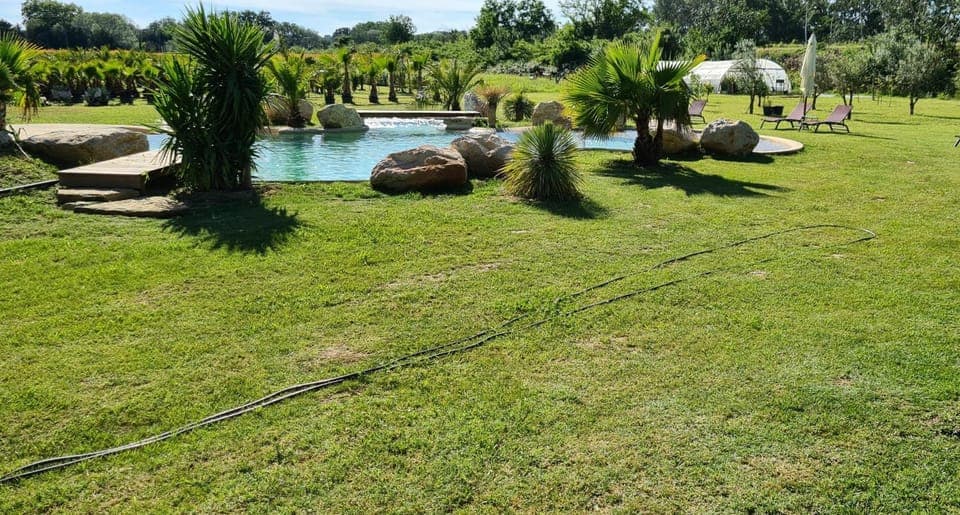 Swimming pool, Swimming pool