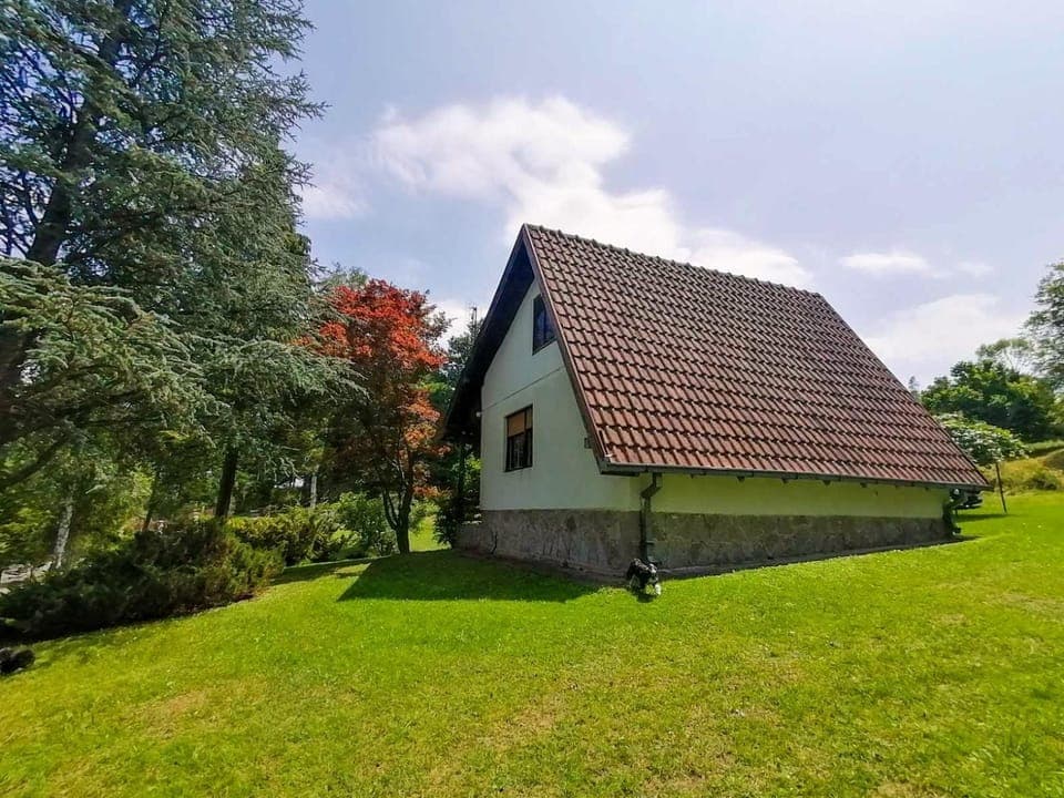 Property building, Natural landscape, Garden