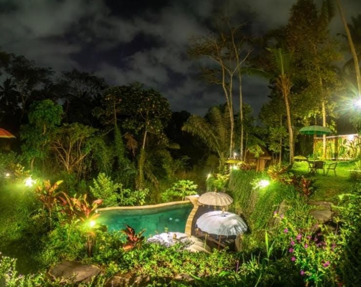 Night, Natural landscape, Garden view, Pool view, Swimming pool