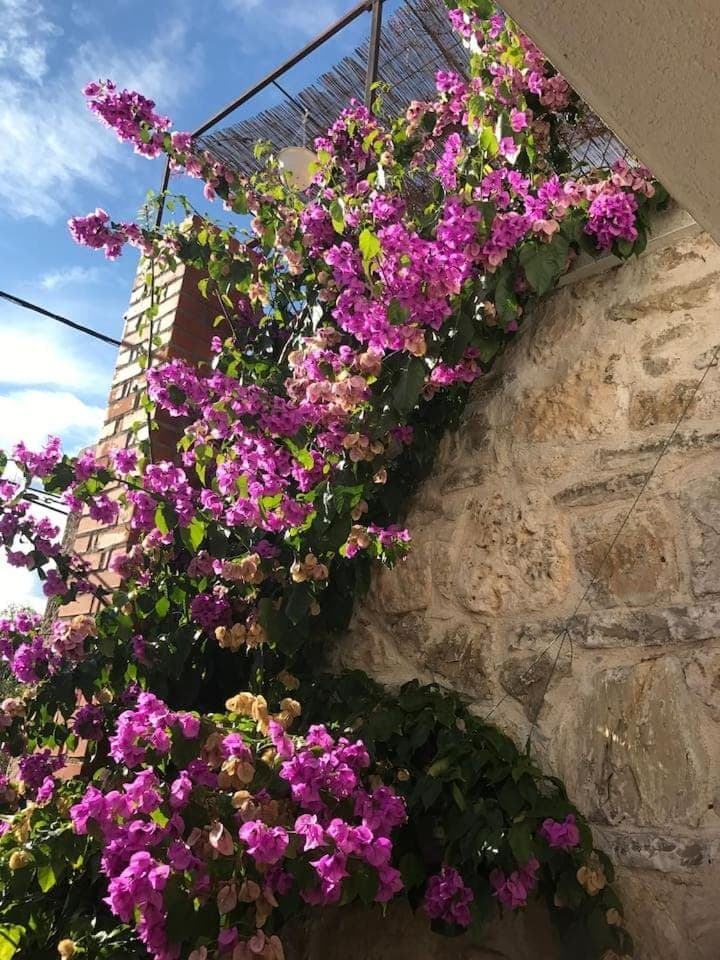 Dalmatinska kuća Terace House in Šibenik-Knin County, Croatia