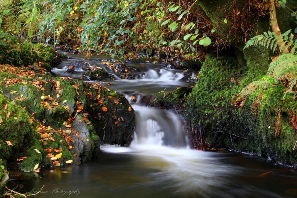 Natural landscape, River view