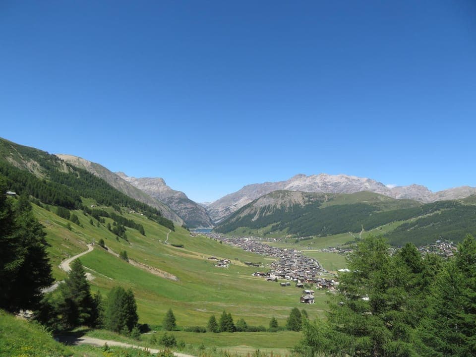 Mountain view